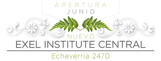 EXEL INSTITUTE CENTRAL