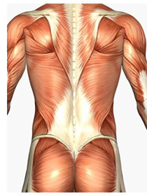 Lumbalgia