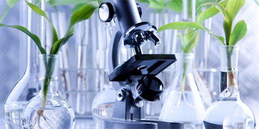 Simposio Quimica