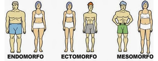 Somatotipos
