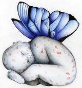Piel de mariposa